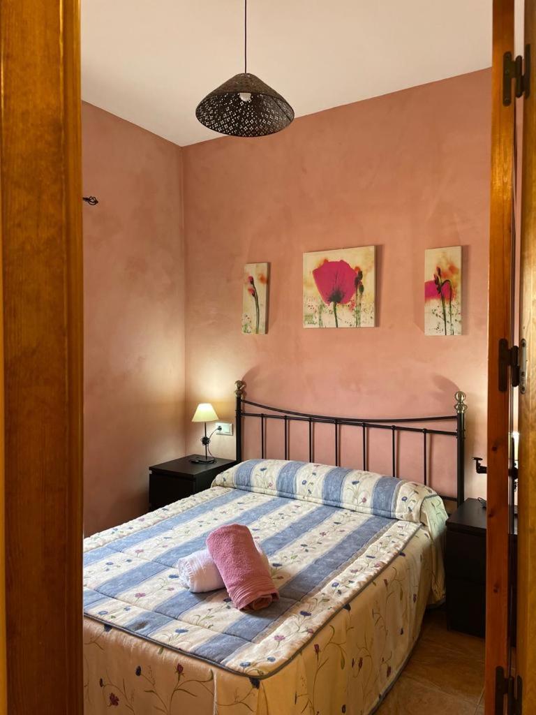 Casa Rural Puente Del Segura 埃尔切德拉谢拉 外观 照片